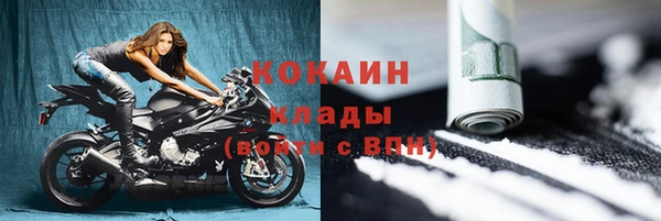 индика Россошь
