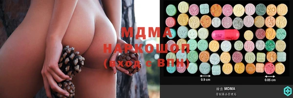 индика Россошь