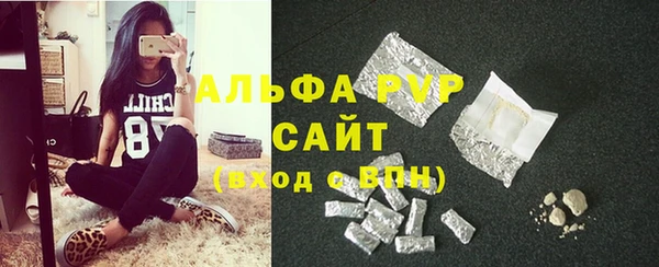 индика Россошь