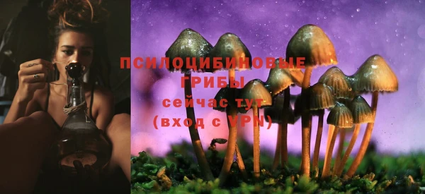 индика Россошь