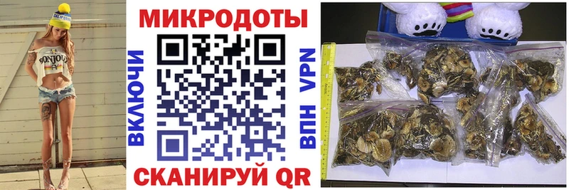 Псилоцибиновые грибы Cubensis  как найти закладки  Туран 